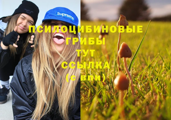 эйфоретик Абинск