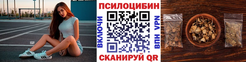 Псилоцибиновые грибы мухоморы  Котельнич 